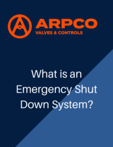 What is an Emergency Shut Down System?